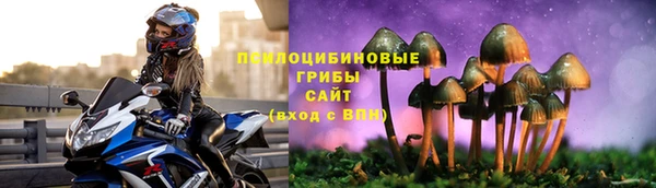 стафф Нея