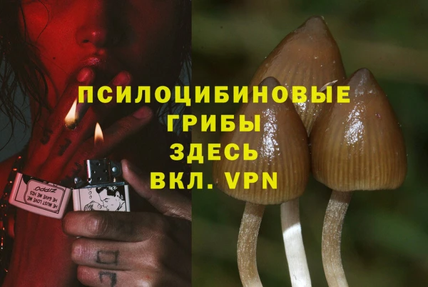 эйфоретик Нефтекумск