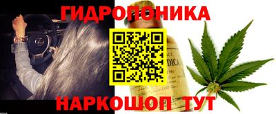 стафф Коммунар