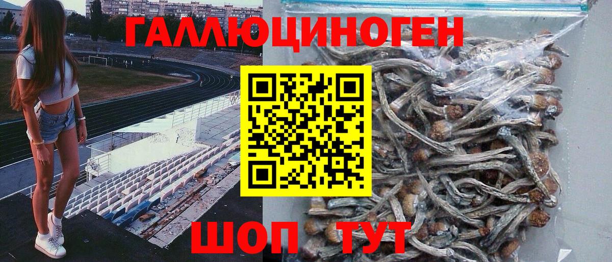 Галлюциногенные грибы Magic Shrooms  Псилоцибиновые грибы Psilocybe  Советский  Вход с VPN 
